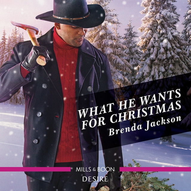 Okładka książki dla What He Wants For Christmas