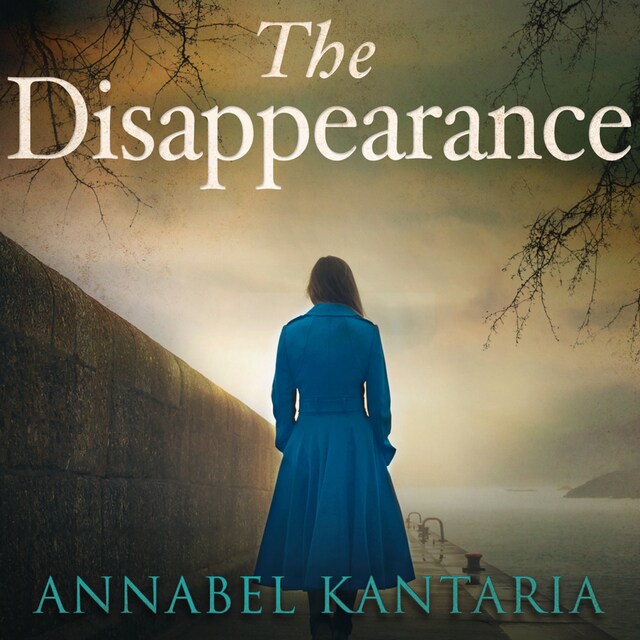 Book cover for The Disappearance