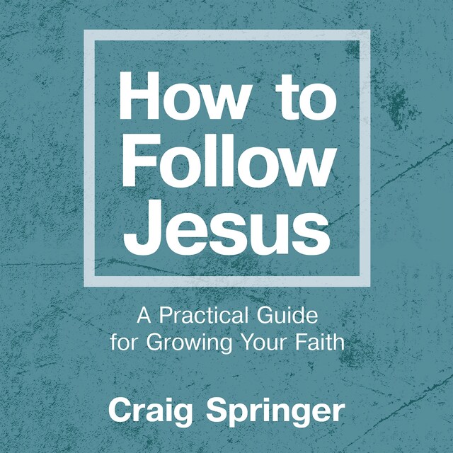 Bogomslag for How to Follow Jesus