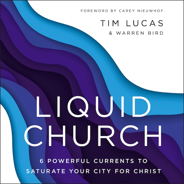 Copertina del libro per Liquid Church