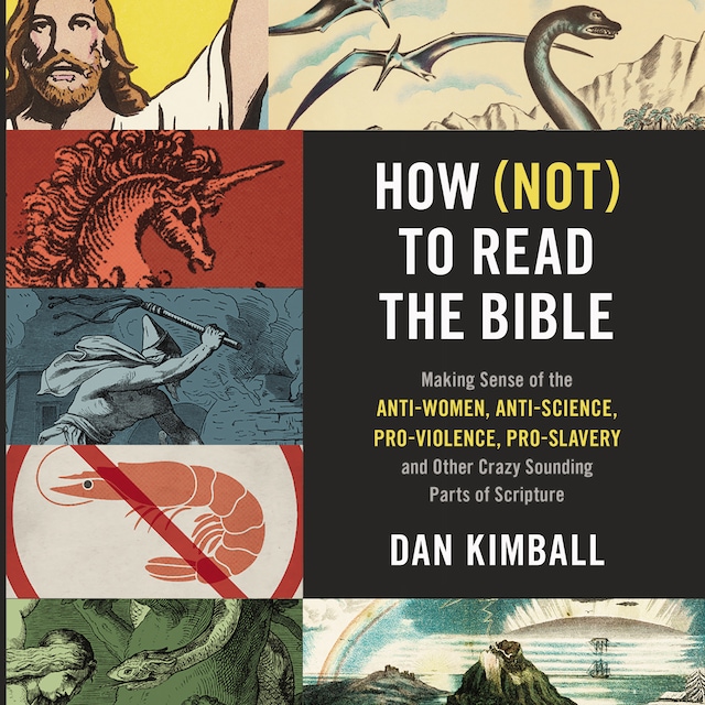 Bokomslag för How (Not) to Read the Bible