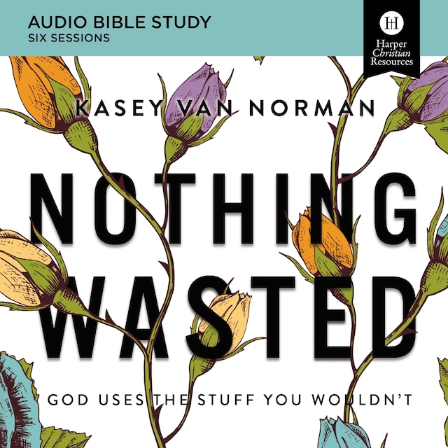 Book cover for Nothing Wasted: Audio Bible Studies