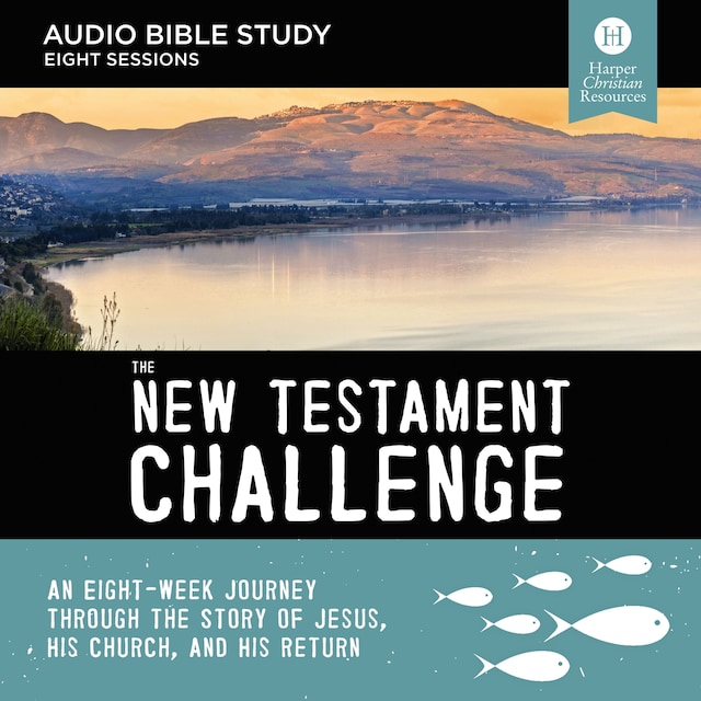 Book cover for The New Testament Challenge: Audio Bible Studies