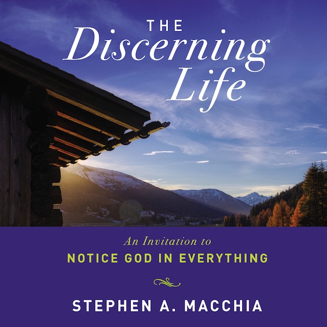 Book cover for The Discerning Life