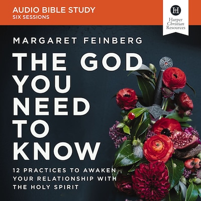 The God You Need to Know Bible Study: Audio