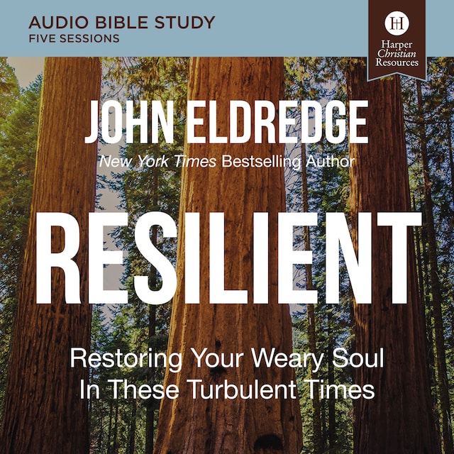 Buchcover für Resilient: Audio Bible Studies