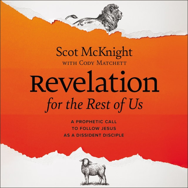 Book cover for Revelation for the Rest of Us