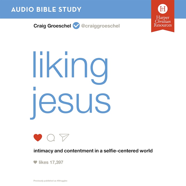 Book cover for Liking Jesus: Audio Bible Studies