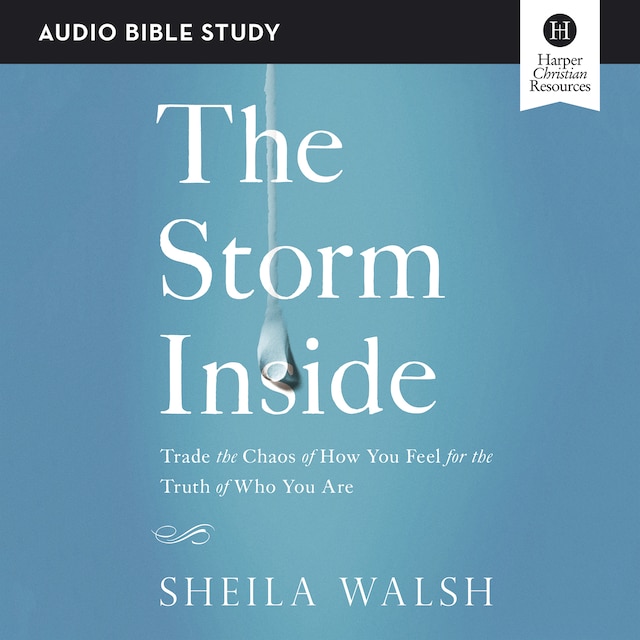 Book cover for The Storm Inside: Audio Bible Studies