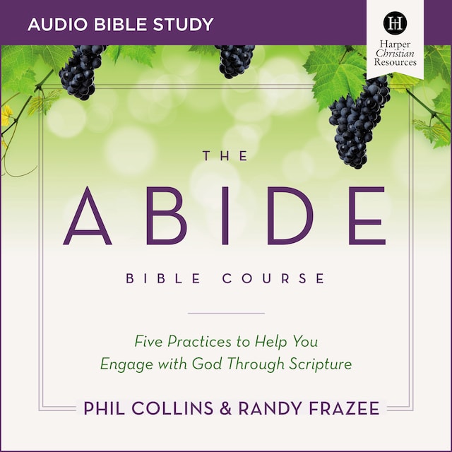 Book cover for The Abide Bible Course: Audio Bible Studies