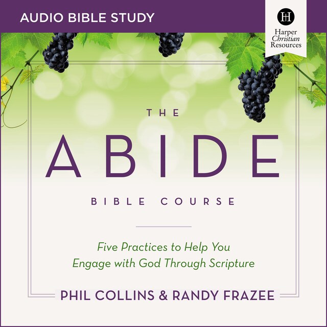 Bokomslag for The Abide Bible Course: Audio Bible Studies