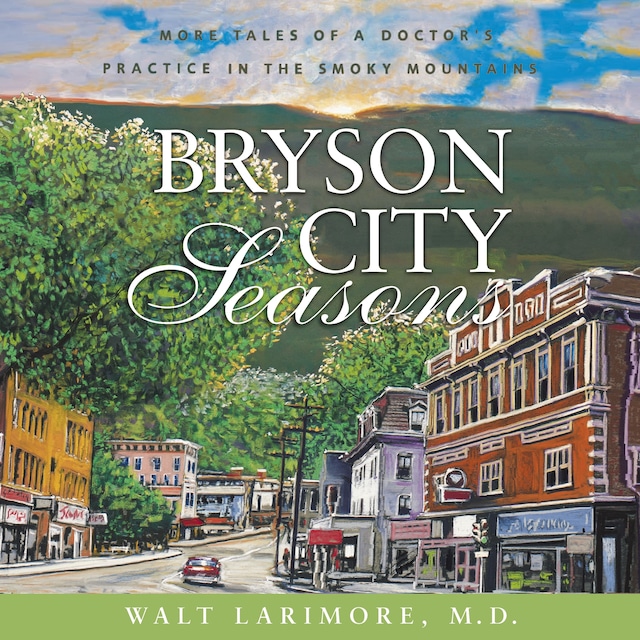 Buchcover für Bryson City Seasons