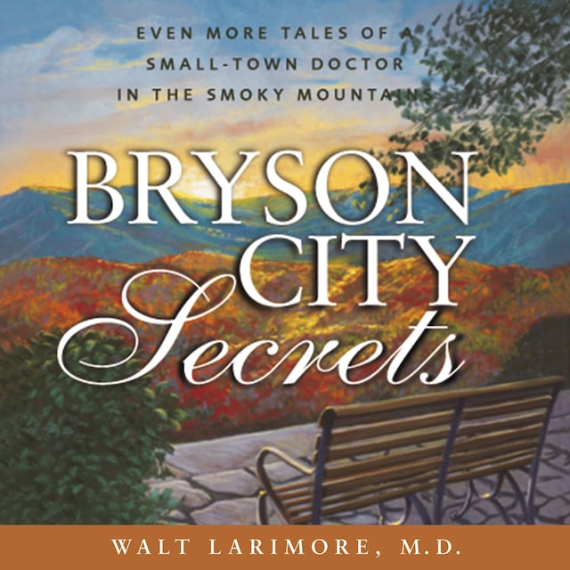 Book cover for Bryson City Secrets