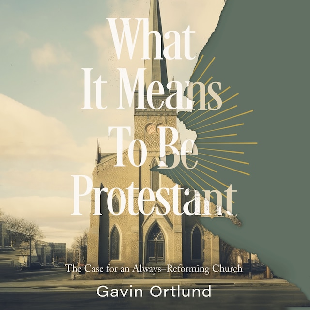 Book cover for What It Means to Be Protestant