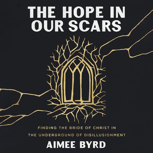 Book cover for The Hope in Our Scars