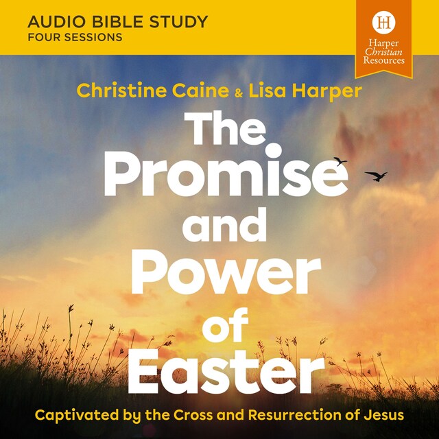 Book cover for The Promise and Power of Easter: Audio Bible Studies