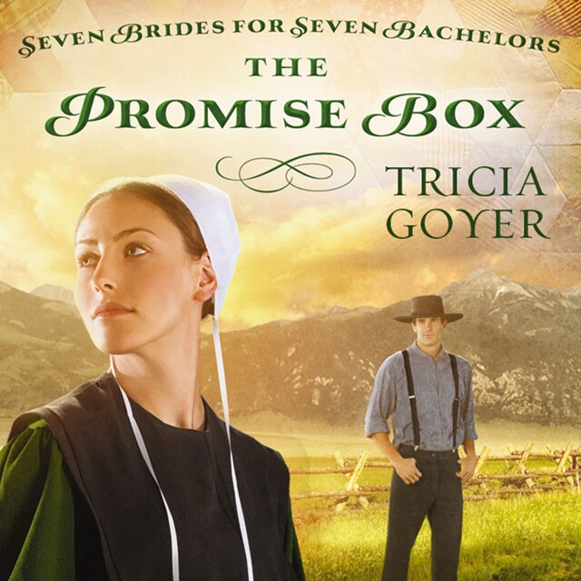 Couverture de livre pour The Promise Box