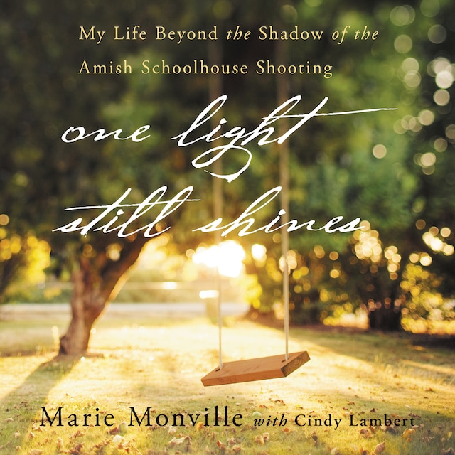 Book cover for One Light Still Shines