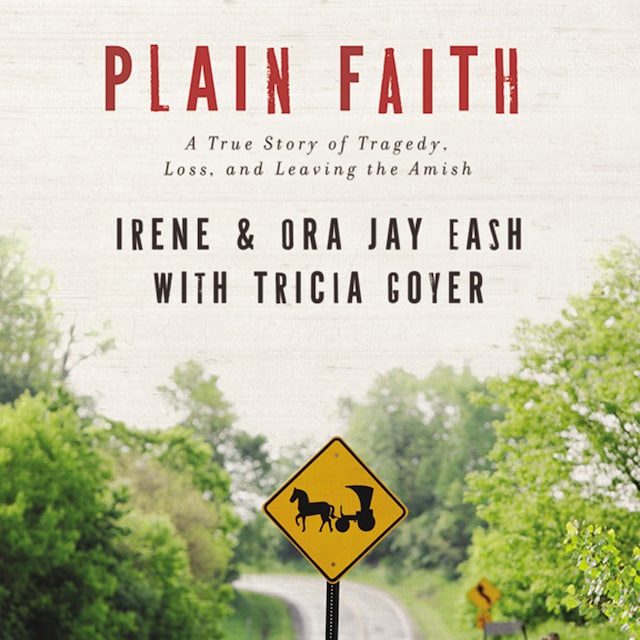 Book cover for Plain Faith