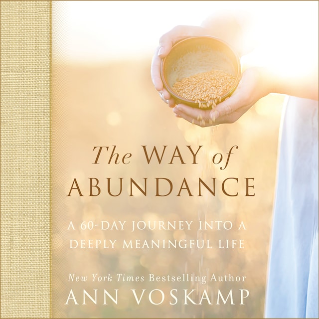 Book cover for The Way of Abundance