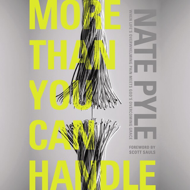 Book cover for More Than You Can Handle