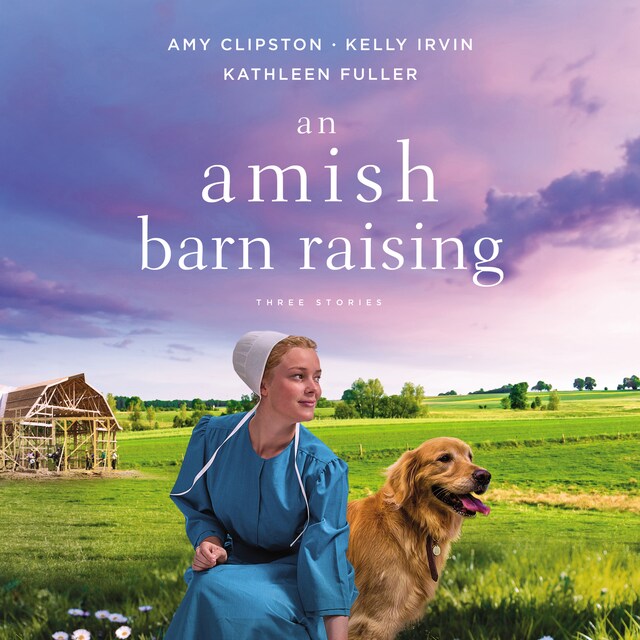 Copertina del libro per An Amish Barn Raising