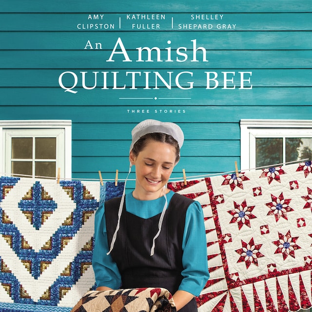 Couverture de livre pour An Amish Quilting Bee