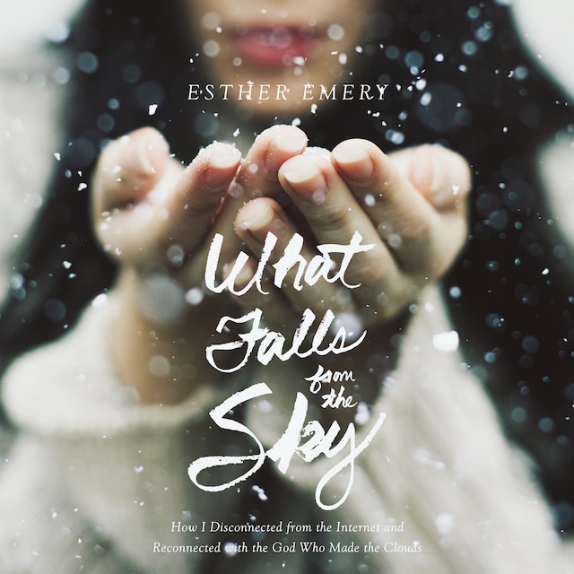 Book cover for What Falls from the Sky