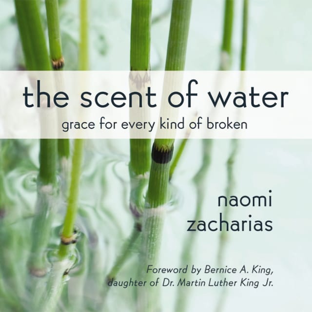 Book cover for The Scent of Water