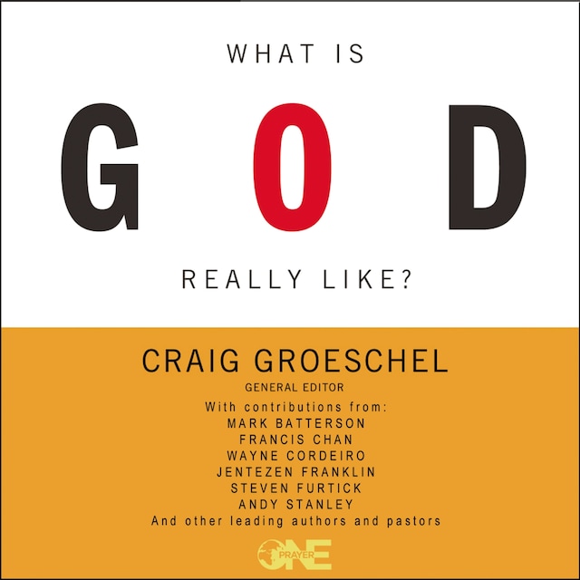Bogomslag for What Is God Really Like?