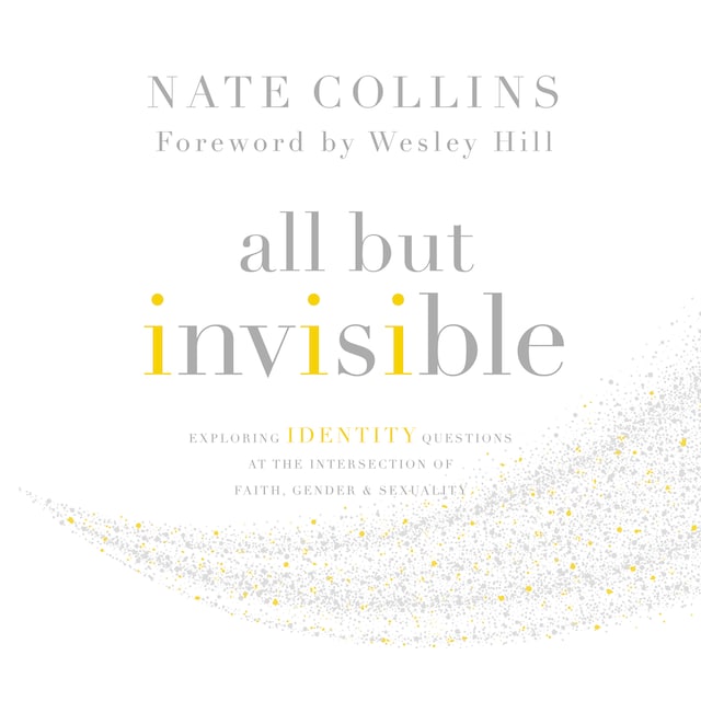 Book cover for All But Invisible