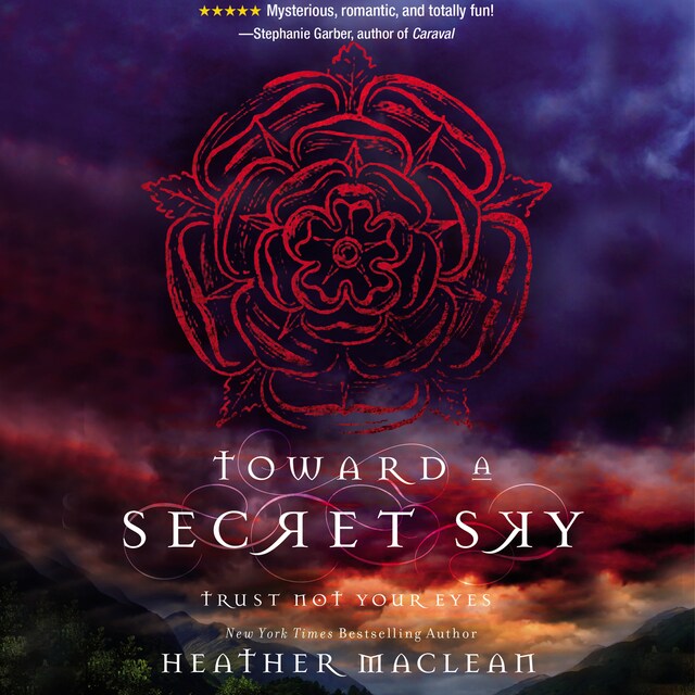 Book cover for Toward a Secret Sky