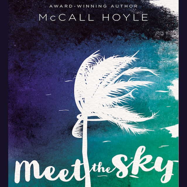 Buchcover für Meet the Sky