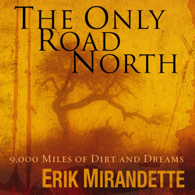 Book cover for The Only Road North