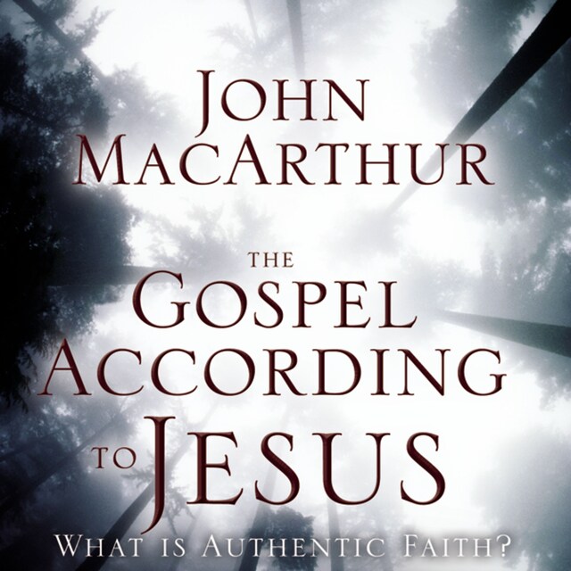 Book cover for The Gospel According to Jesus