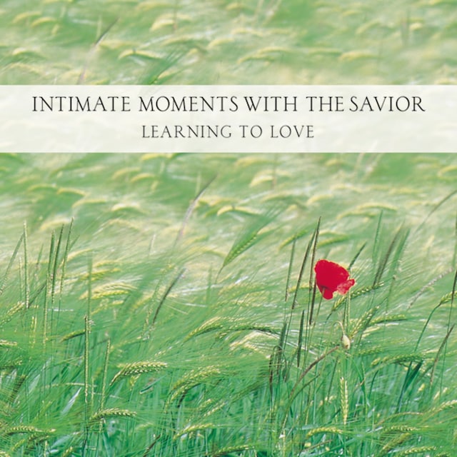 Book cover for Intimate Moments with the Savior
