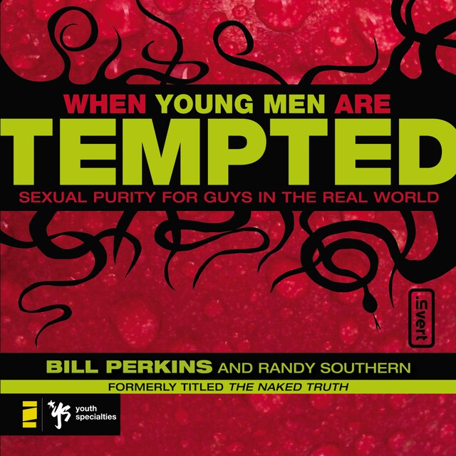 Book cover for When Young Men Are Tempted