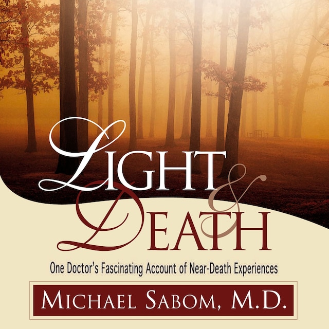 Book cover for Light and Death