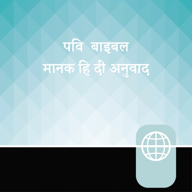 Boekomslag van Hindi, High Audio Bible New Testament - Manak Hindi Bible