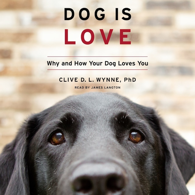Buchcover für Dog Is Love