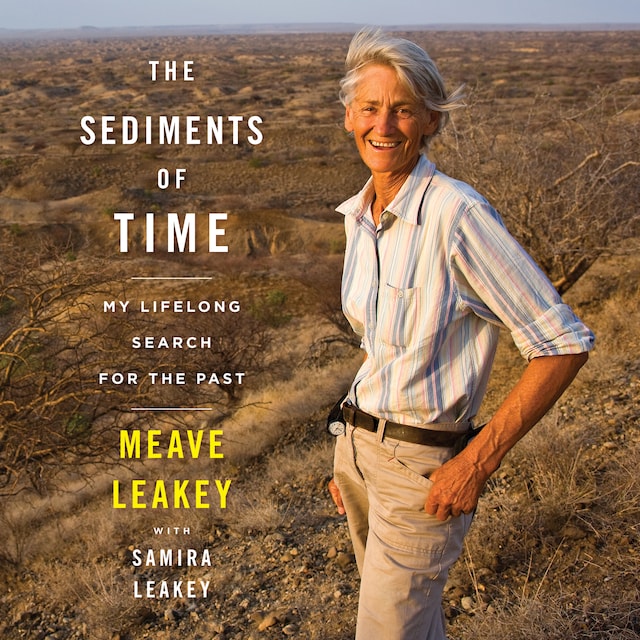 Book cover for The Sediments Of Time