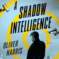 A Shadow Intelligence