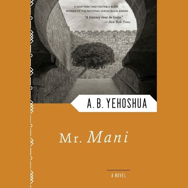Book cover for Mr. Mani
