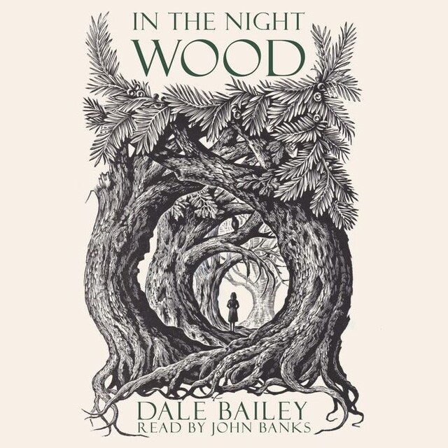 Book cover for In The Night Wood