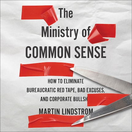 The Ministry Of Common Sense bookCoverFor
