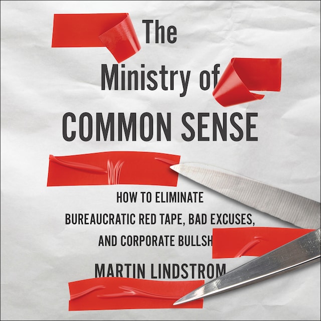 Book cover for The Ministry Of Common Sense