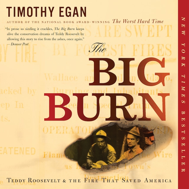 Book cover for The Big Burn
