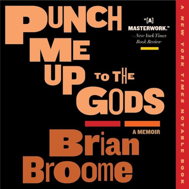 Buchcover für Punch Me Up To The Gods