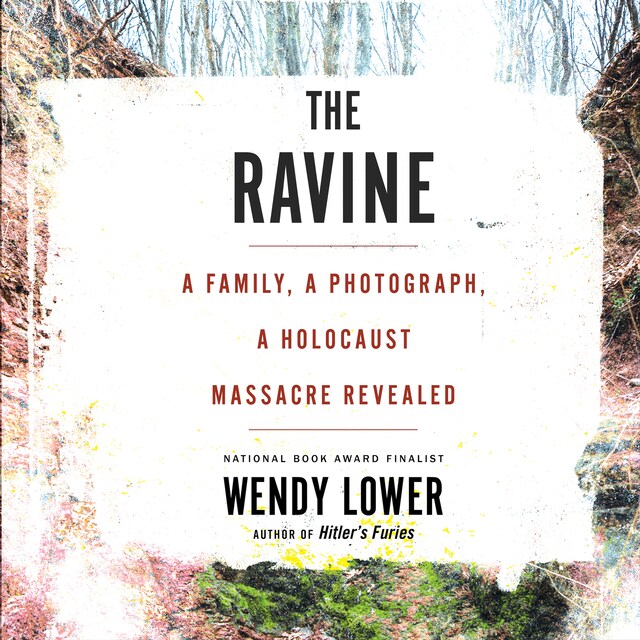 Book cover for The Ravine