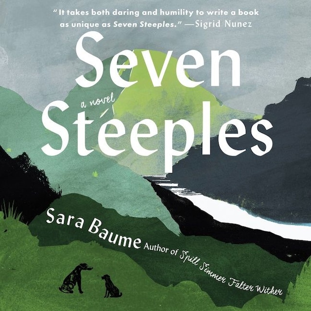 Book cover for Seven Steeples